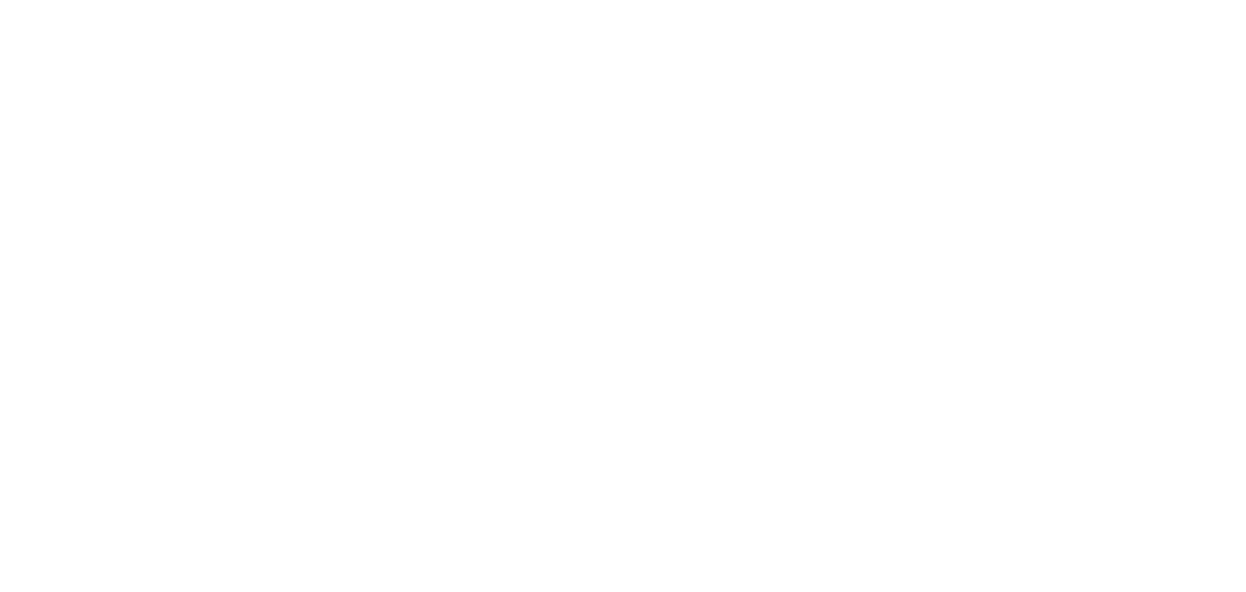 Digitaal Attractie Dossier